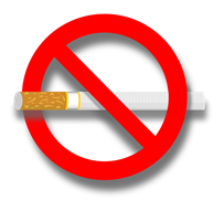 Le tabac, un danger pour votre compagnon ?